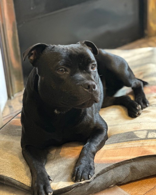 Unik  From Braveheart Story