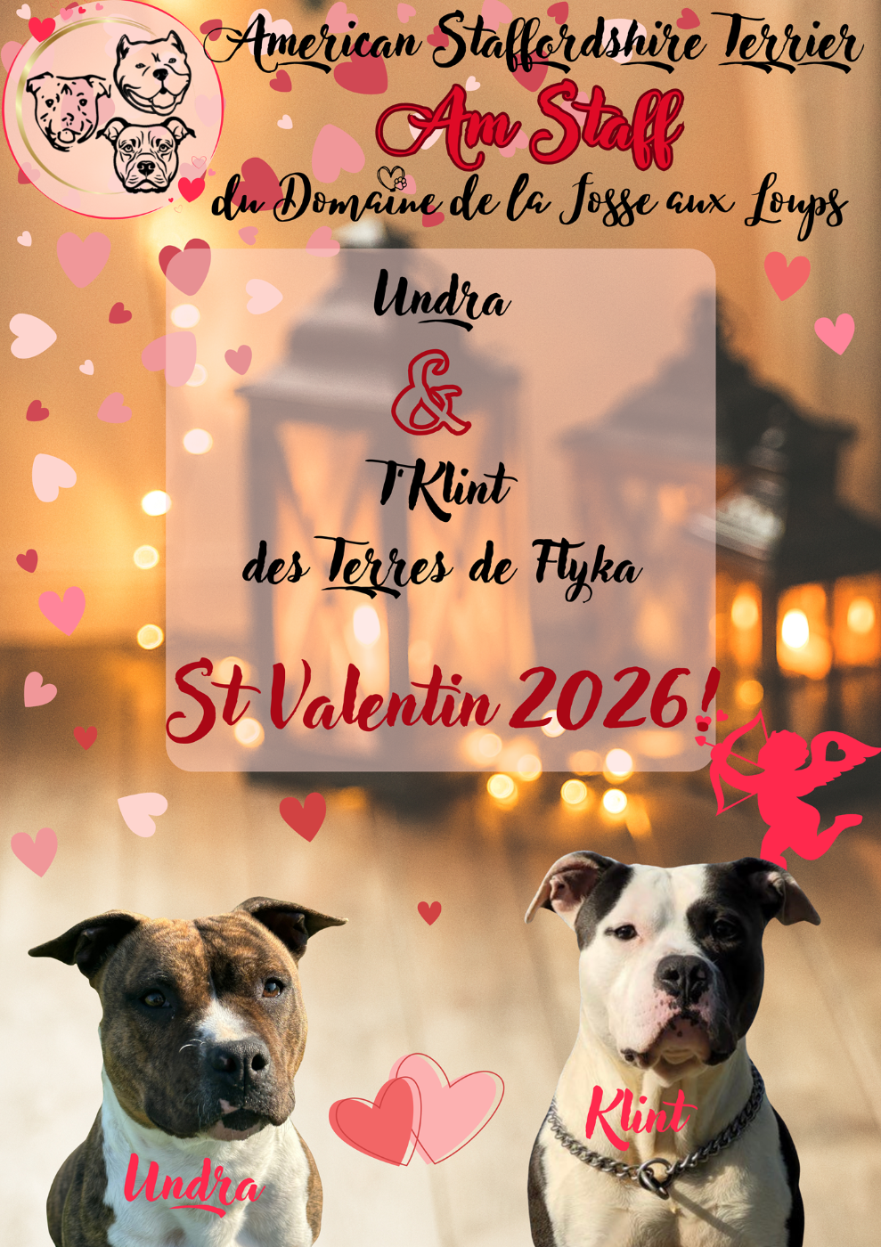 Portée à venir pour Undra, notre Staff - Réservations ouvertes !